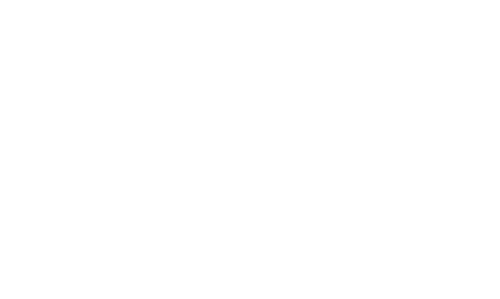 American Book Expert Logo